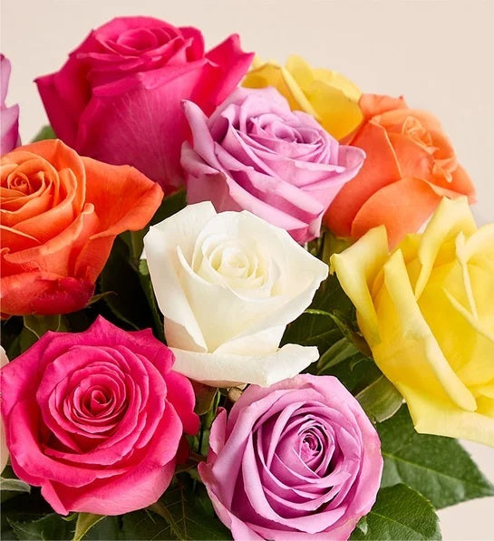 Dozen mixed color roses bouquet with vibrant fresh blooms in assorted shades of red, pink, yellow, orange, white and purple