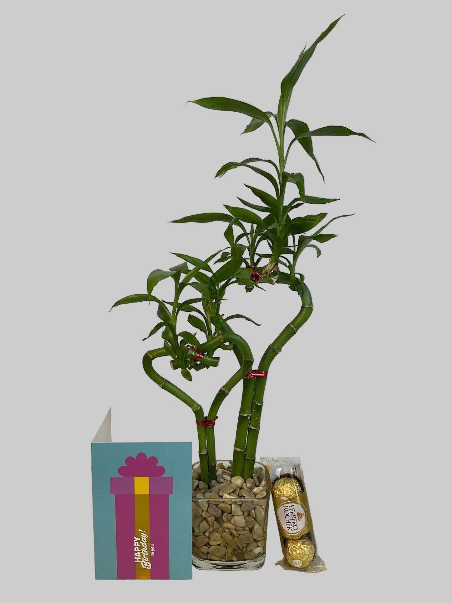Double heart lucky bamboo with Birthday card and 3 pcs Ferrero Rocher in 3.5 inch square vase 