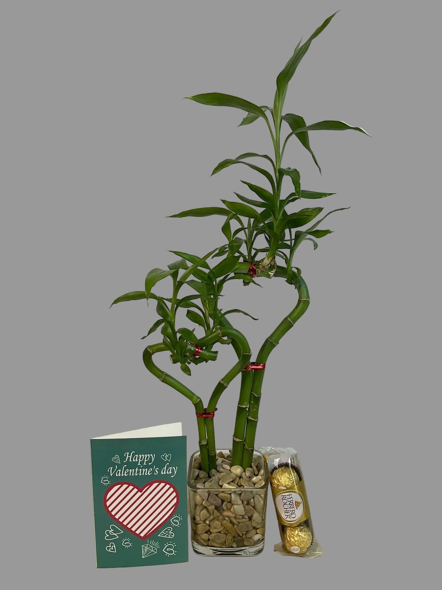 Double heart lucky bamboo with Valentine card and 3 pcs Ferrero Rocher in 3.5 inch square vase 
