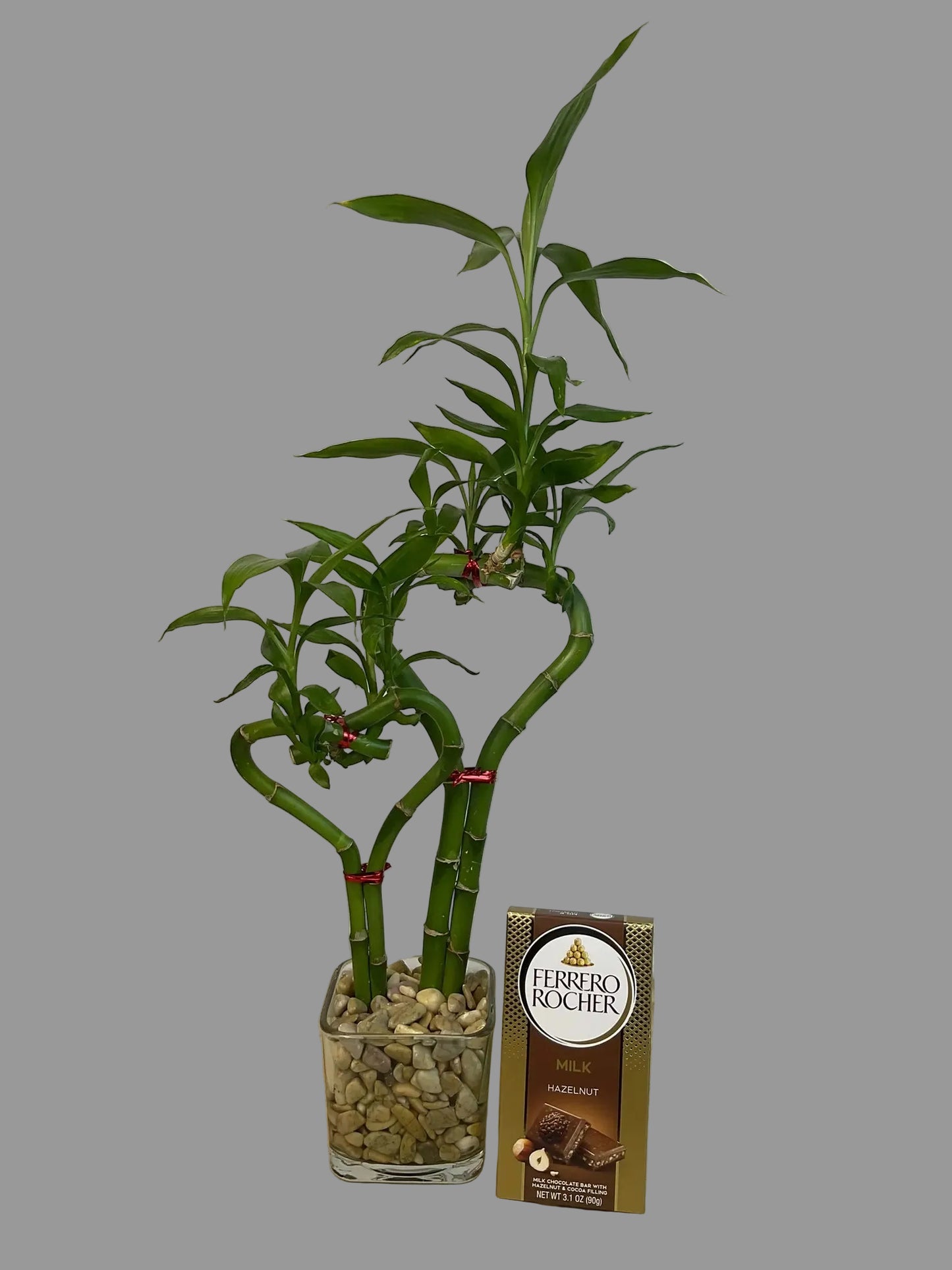 Double heart lucky bamboo with  Ferrero Rocher Bar in 3.5 inch square vase 