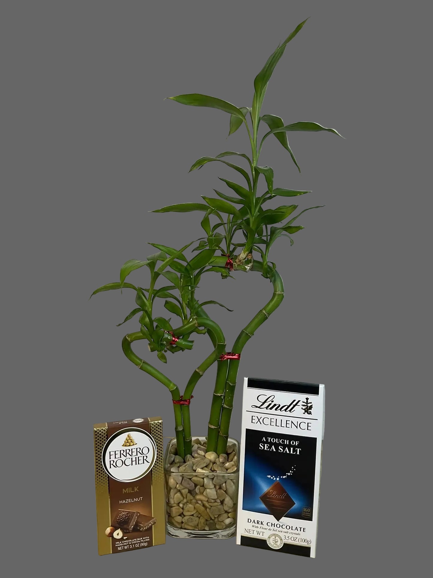 Double heart lucky bamboo with chocolates gift set in 3.5 inch square vase