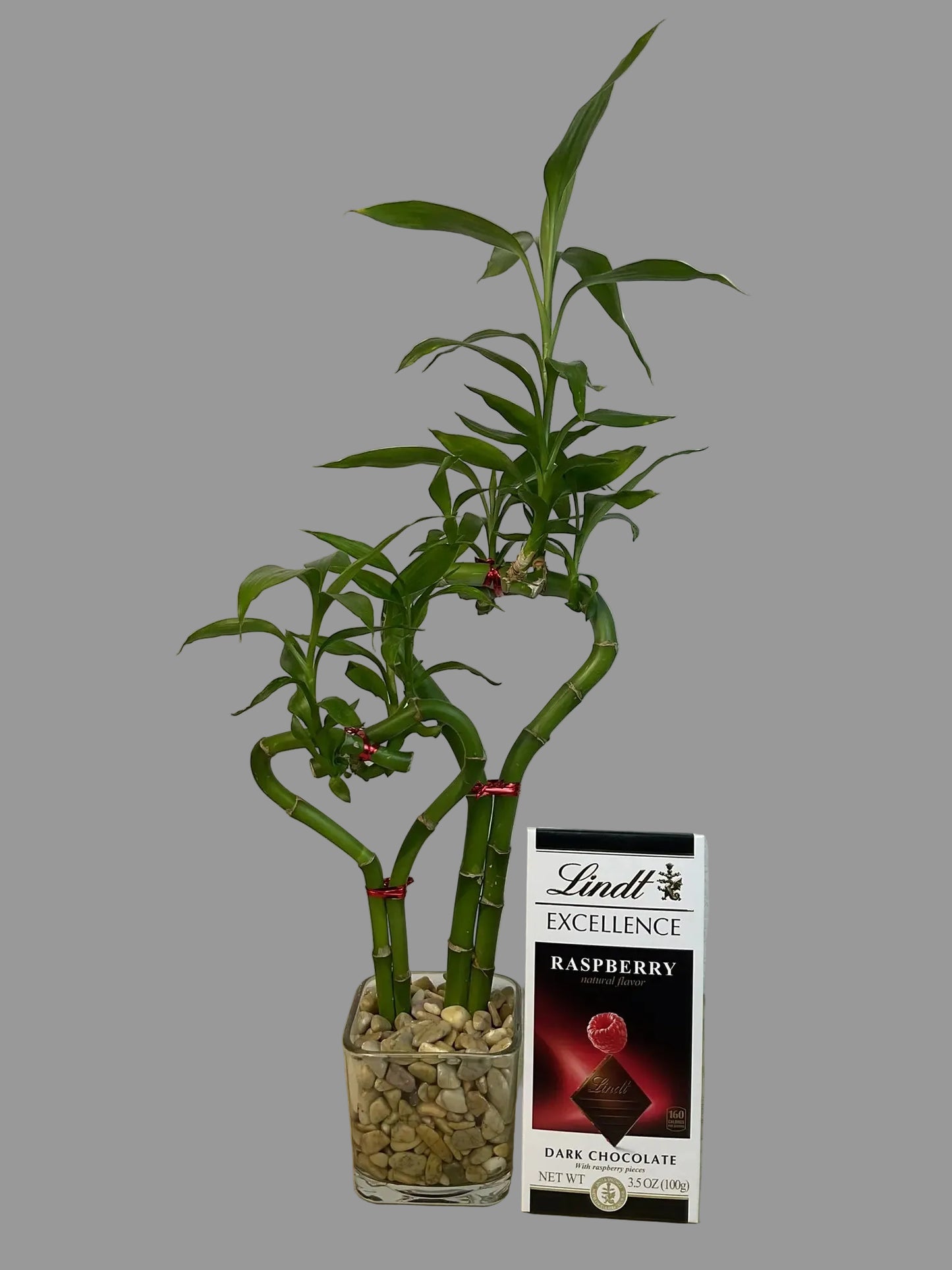 Double heart lucky bamboo with Lindt Raspberry Bar in 3.5 inch square vase