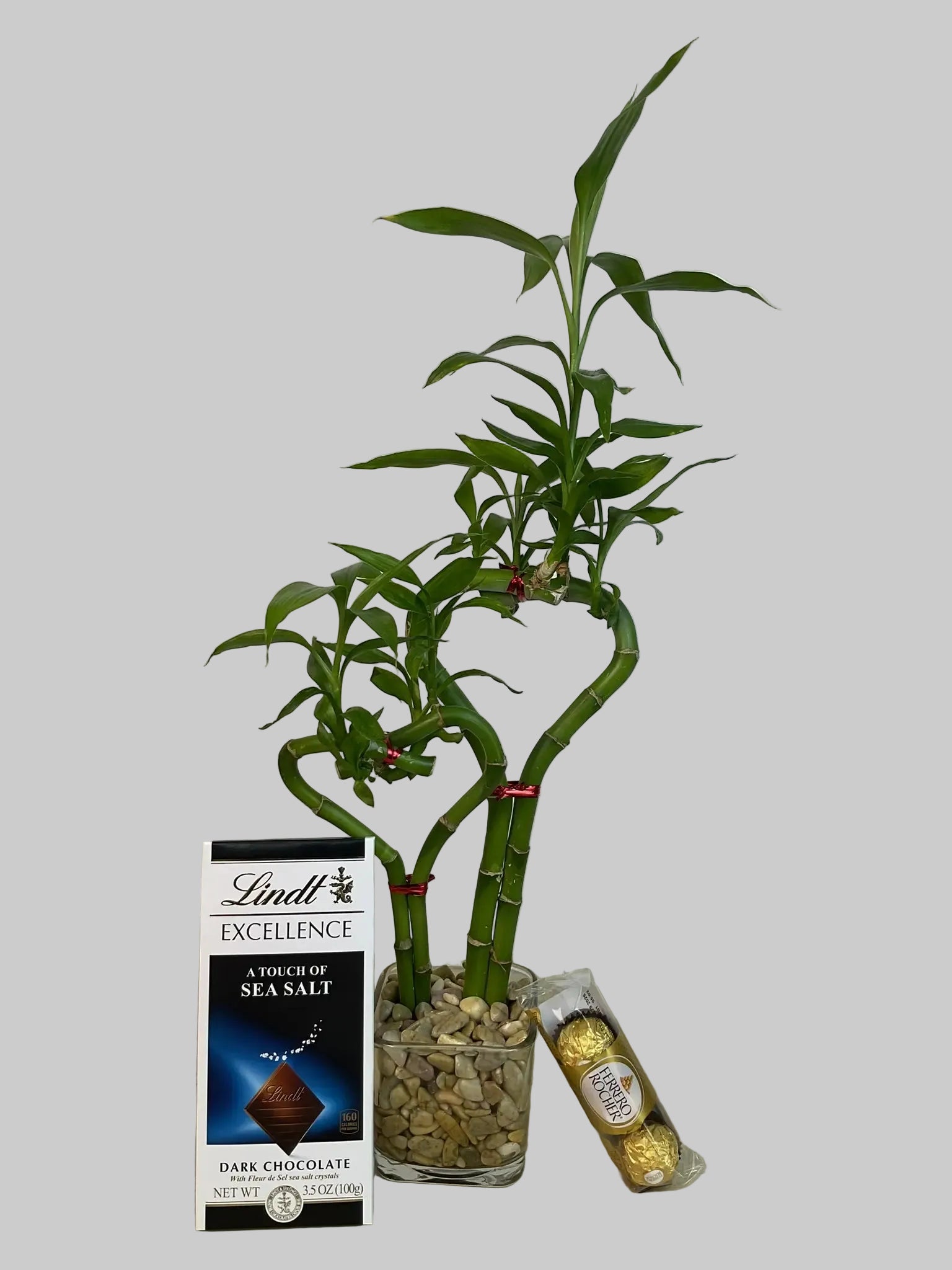 Double heart lucky bamboo with Lindt Sea salt Bar and 3 Pcs Ferrero Rocher in 3.5 inch square vase 