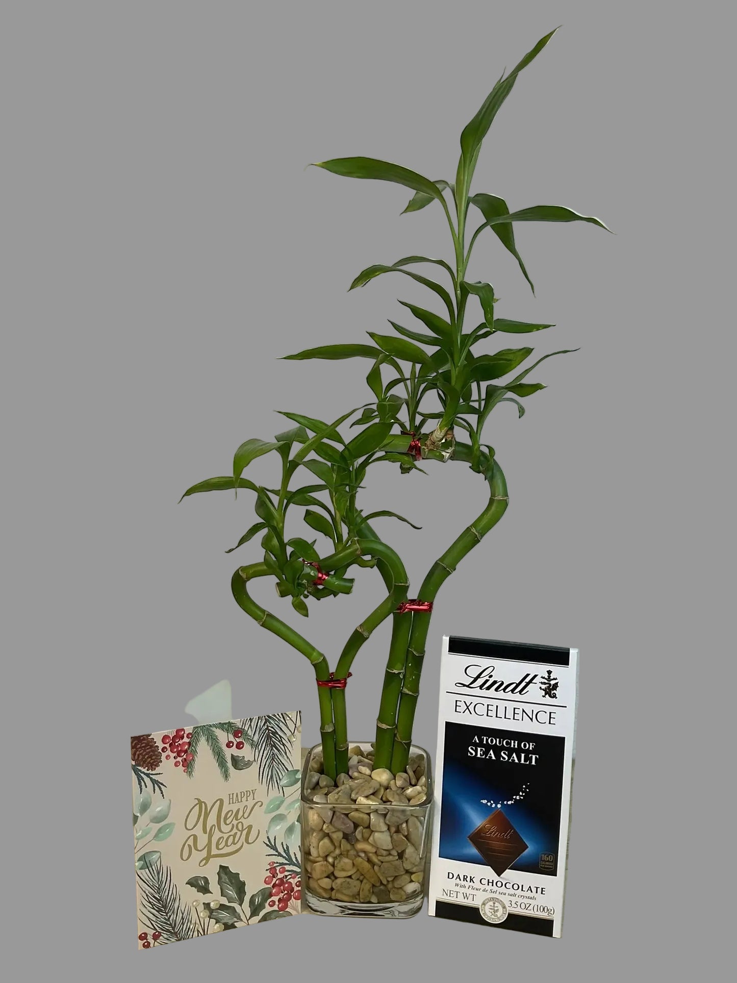 Double heart lucky bamboo with New Year card and Lindt Sea salt Bar in 3.5 inch square vase 