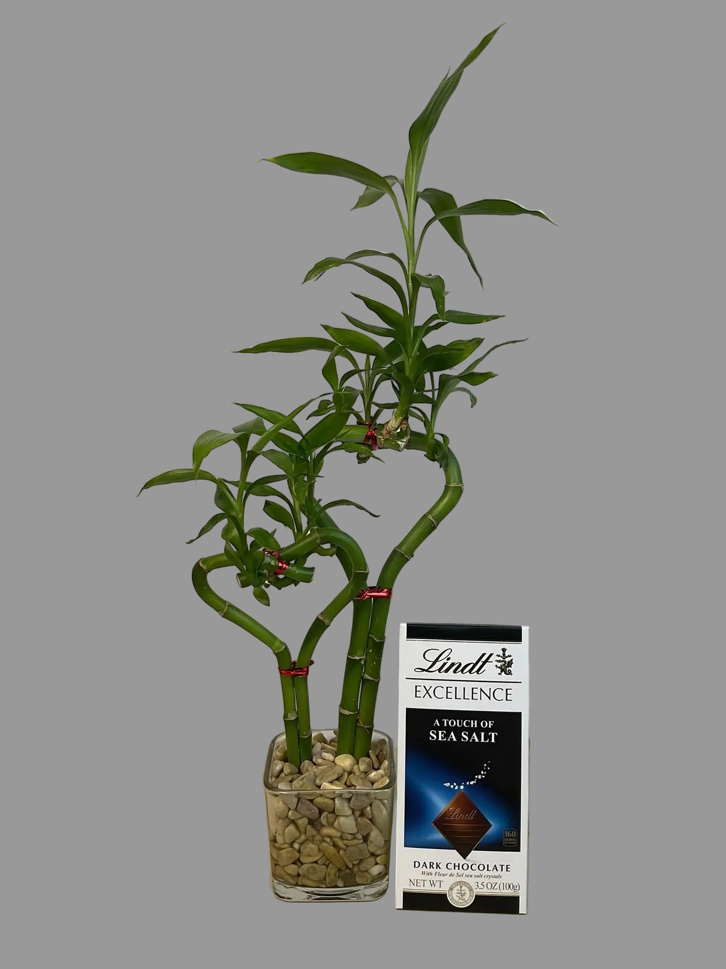 Double heart lucky bamboo with Lindt Sea Salt Bar in 3.5 inch square vase