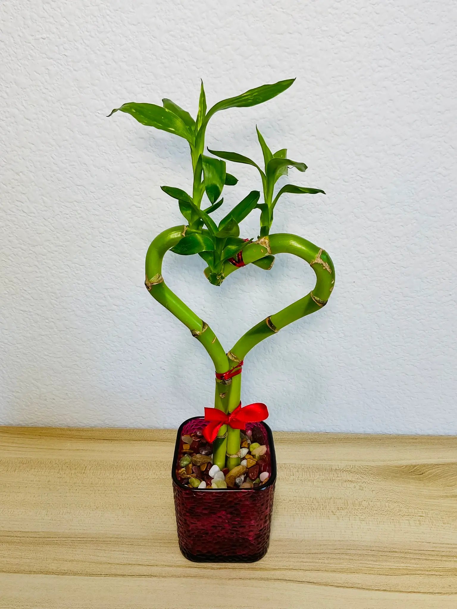 Heart-shaped single lucky bamboo plant in square purple glass vase angle view